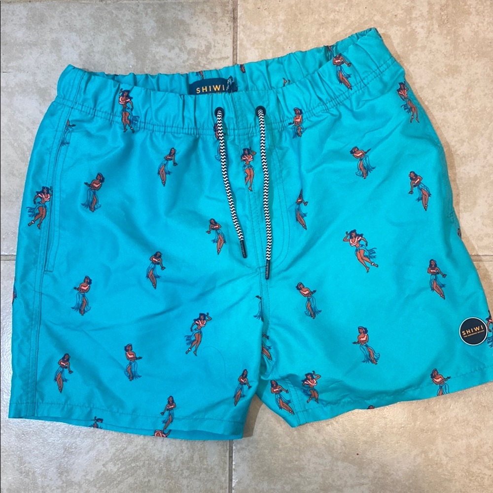 Blue and Green Swim Trunks with Elastic Waistband